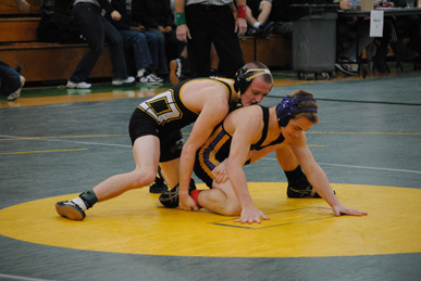 Tigers send three to state wrestling tournament