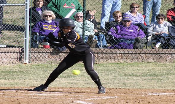 Softball suffers tough loss in state quarterfinals