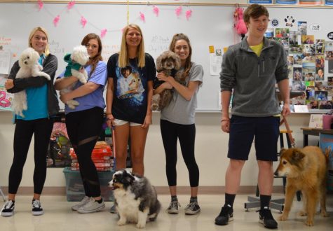 Students in Ms. Catons class show off their dogs.