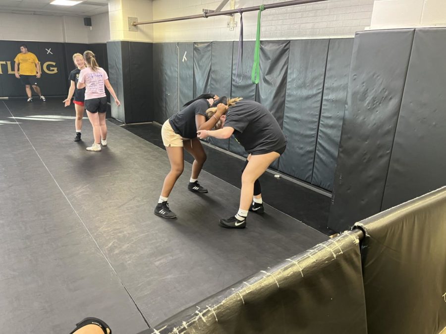 Aydan+Squires+%2811%29+and+Talia+Reed+%2810%29+practice+hand+fighting+and+takedowns+at+practice+Monday%2C+Nov.+28.+%E2%80%9CTo+mentally+prepare%2C+I+try+to+keep+a+positive+mindset+and+I+just+think+about+how+I%E2%80%99ve+already+done+this+a+whole+year%2C+Squires+said%2C+and+so+there%E2%80%99s+nothing+I+havent+seen+before+here+and+its+just+another+day+of+practicing+or+a+match%2C+and+theres+nothing+bad+that+could+happen.+Squires+said+she+was+excited+to+get+the+new+season+started.