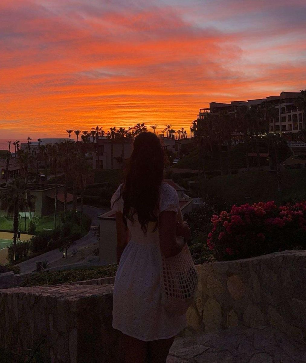 Jalali gazes off into the sunset of Cabo. 