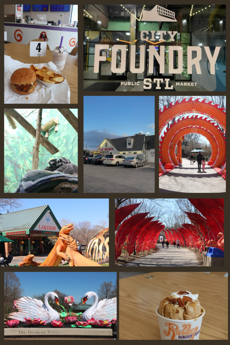 A collage of the places visited by the story. 

Photos by: Madeline McClusky and Tristan Howard