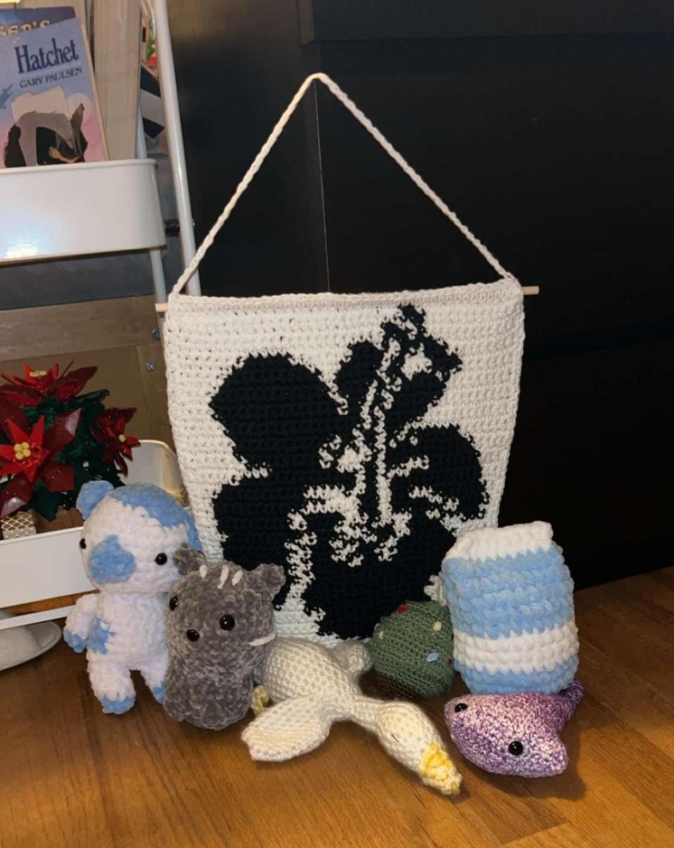 Addison Sanders’ crochet creations are put on display. “I was kind of getting into crochet, but I knew that I liked crocheting stuffed animals,” Sanders said. Sanders sells amigurumi (crochet stuffed animals) because she thinks it's more fun than making clothing. 